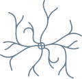 spider-vins spider vins